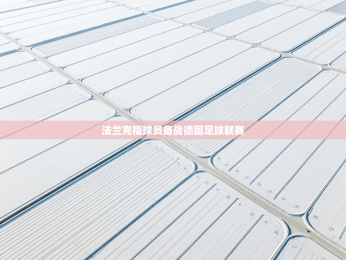法兰克福球员备战德国足球联赛  第2张