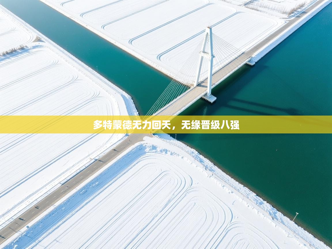 多特蒙德无力回天，无缘晋级八强  第2张