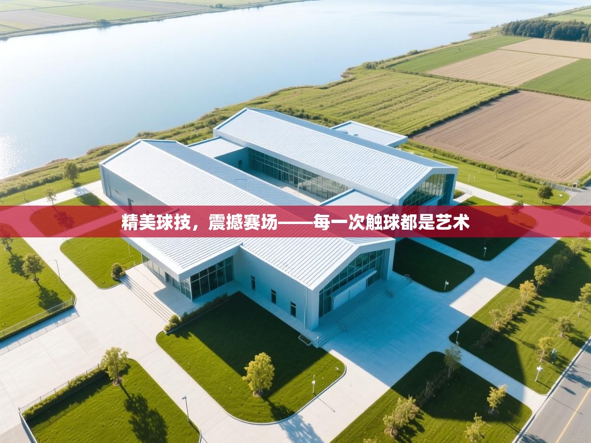 精美球技，震撼赛场——每一次触球都是艺术