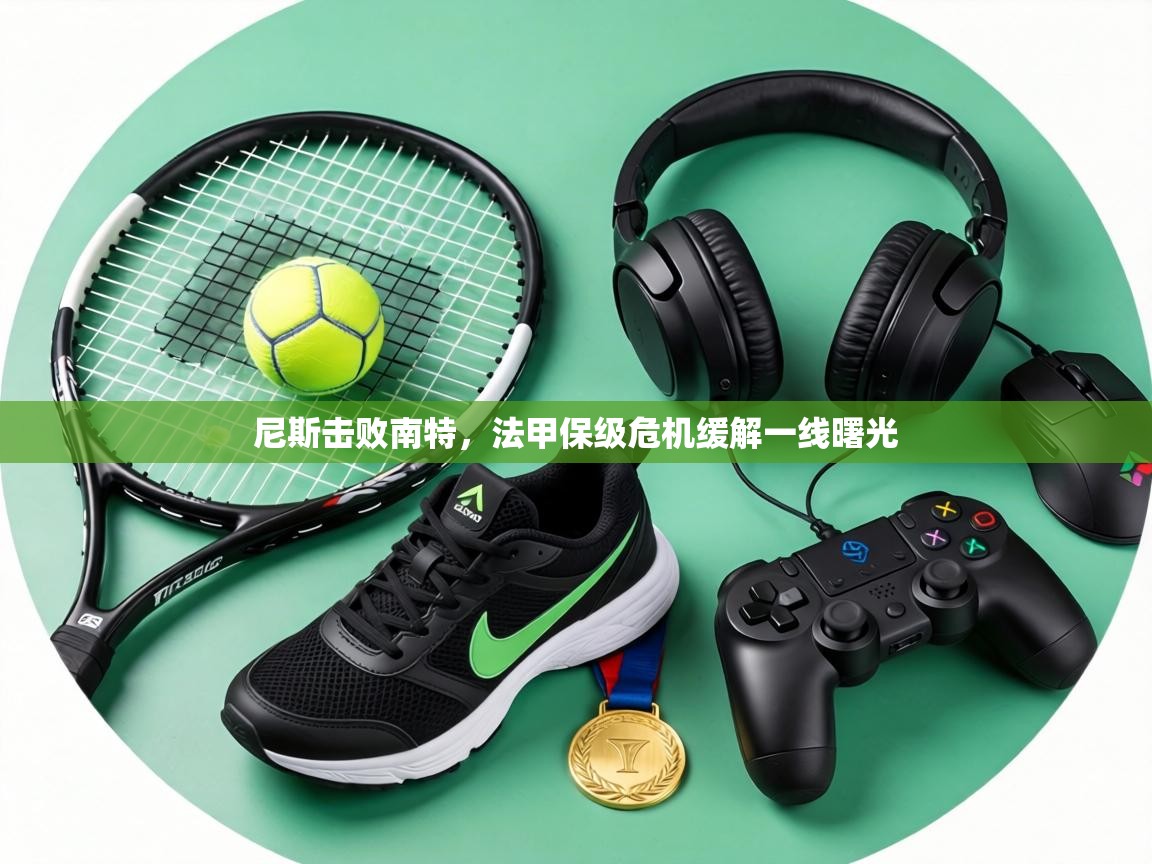 尼斯击败南特，法甲保级危机缓解一线曙光  第2张